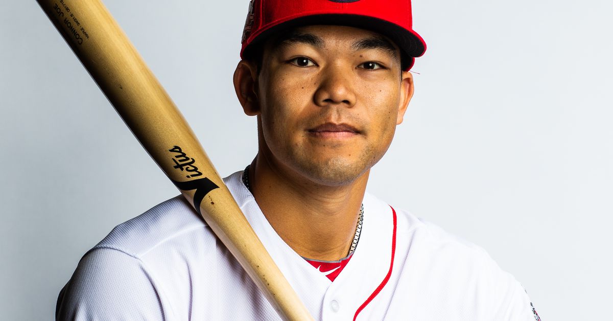 Cincinnati Reds acquire IF/OF Connor Joe from Padres via trade