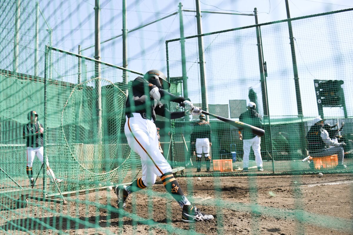 Japan's Female Baseball Stars Push To Go Pro, Fueled By Ohtani Effect