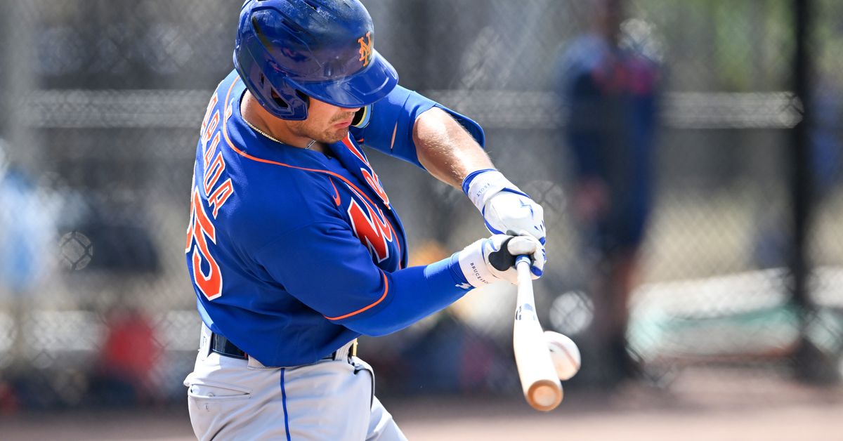 Mets Daily Prospect Report, 5/18/25: From undesirable to undeniable!