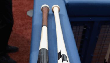 Torpedo bats cleared for use in games in Japan