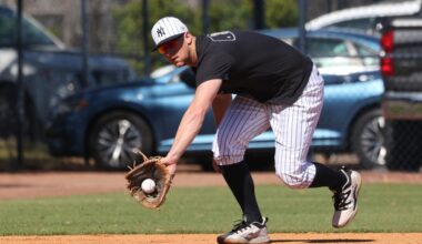 DJ LeMahieu's return to Yankees delayed by inclement weather