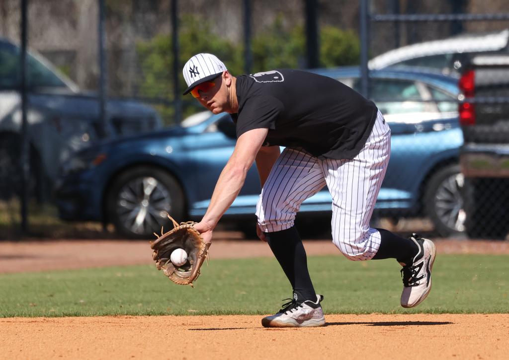 DJ LeMahieu's return to Yankees delayed by inclement weather