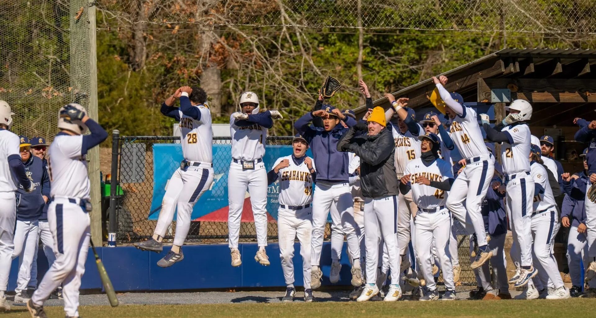 St. Mary's College Baseball Concludes Season In United East Conference Final Four