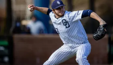 The Toronto Blue Jays have an incredible new relief pitcher