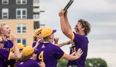 10 former southeastern Minnesota baseball players making moves at the college level - Post Bulletin