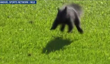 Squirrel on field puzzles Riley Greene, terrorizes Detroit Tigers bullpen while announcers narrate