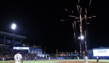 Rays announce drone shows, free tickets for kids