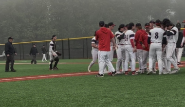 PIAA State Baseball Playoffs: Matchups, schedules, scores, recaps