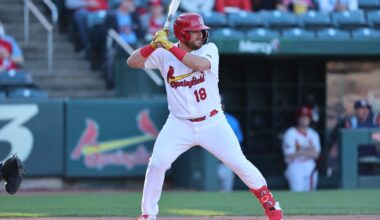Ex-Springfield Cardinals playing key roles for surging St. Louis squad