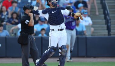 Diagnosing Rays catcher Danny Jansen’s framing woes