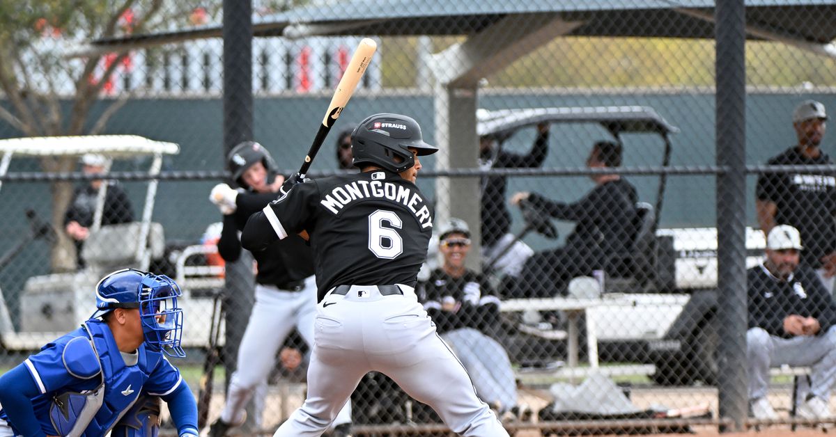 Chicago White Sox Weekly Minor League Update: May 5-11, 2025