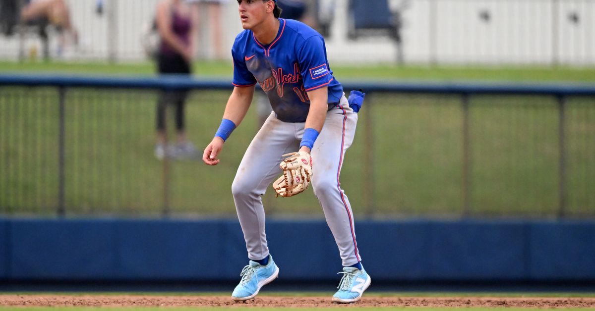 Mets Daily Prospect Report, 5/29/25