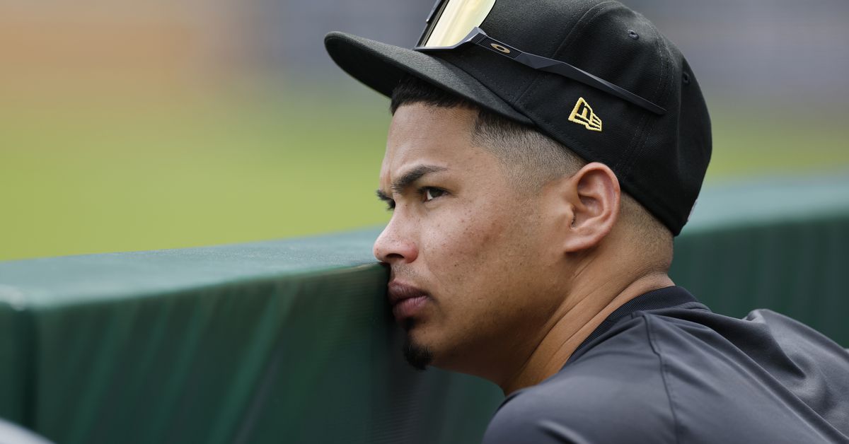 With Joey Bart out, should Pirates turn to Endy Rodriguez or Henry Davis behind the plate?