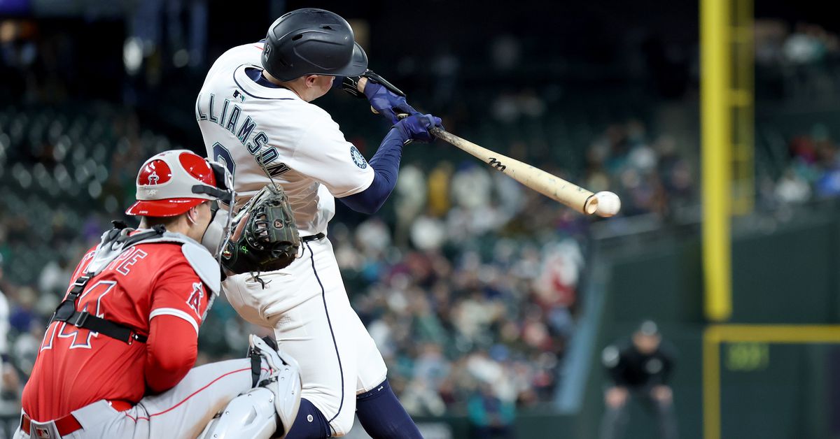 Ben Williamson is an unfinished product