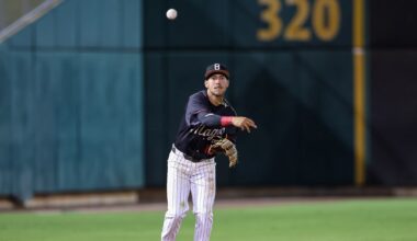 Chicago White Sox Prospects & Minor Leagues: Four White Sox minor-leaguers who deserve recognition