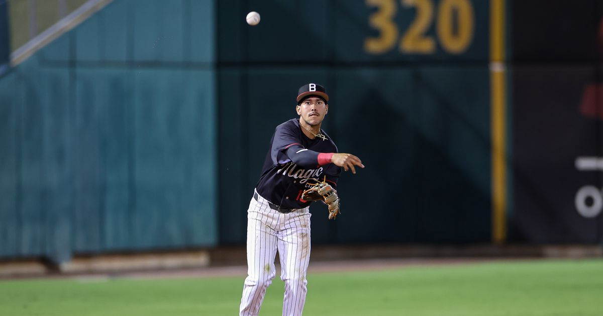 Chicago White Sox Prospects & Minor Leagues: Four White Sox minor-leaguers who deserve recognition