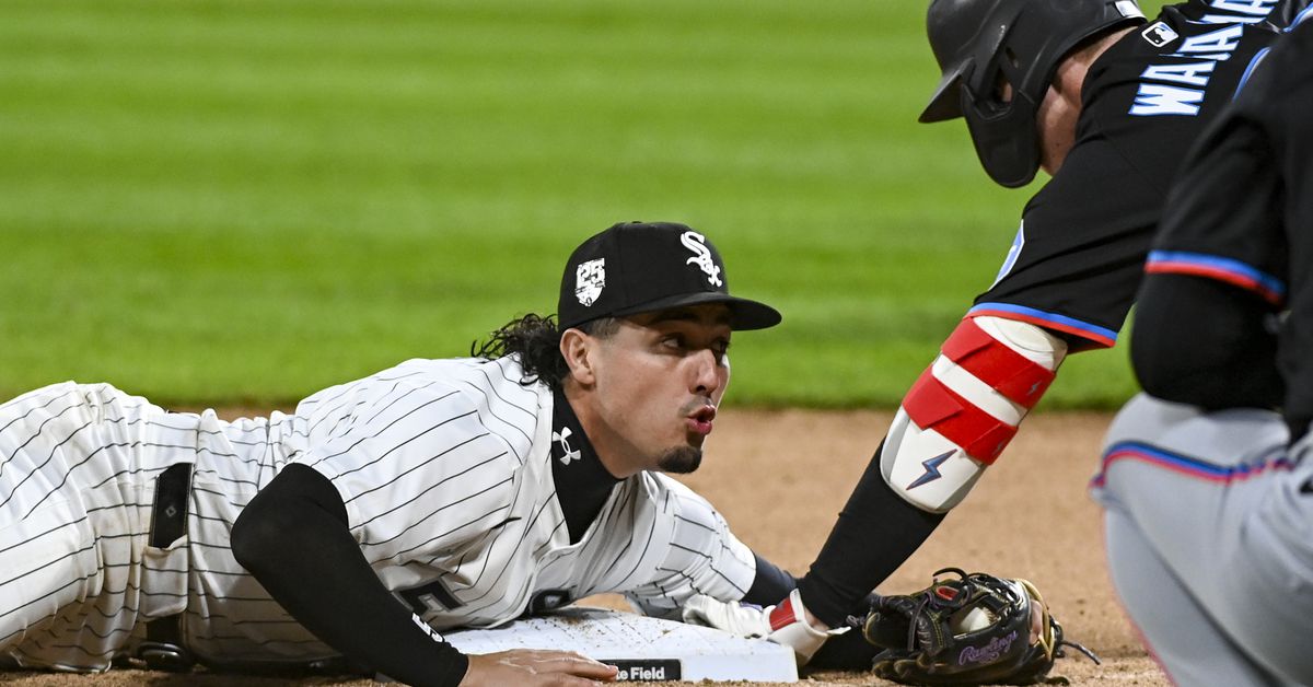 My Visit to Les Murakami Stadium