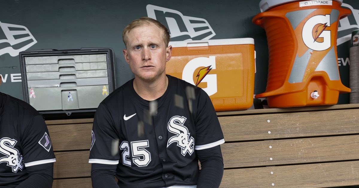 O’Hare today, gone tomorrow: Tim Elko heads back to Charlotte, and fellow first baseman Andrew Vaughn joins him in a perplexing roster shuffle. Chicago White Sox.