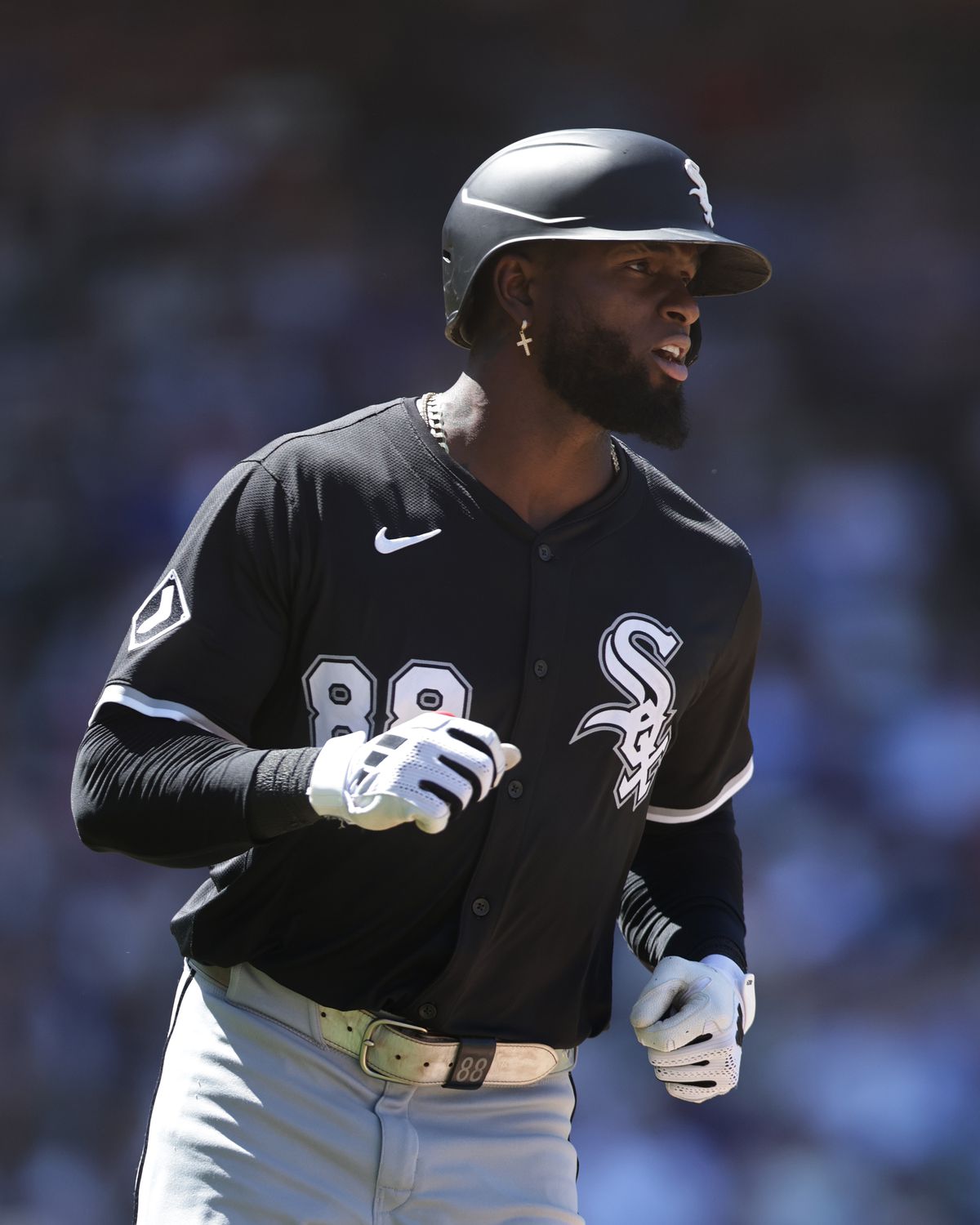 Chicago White Sox v Chicago Cubs