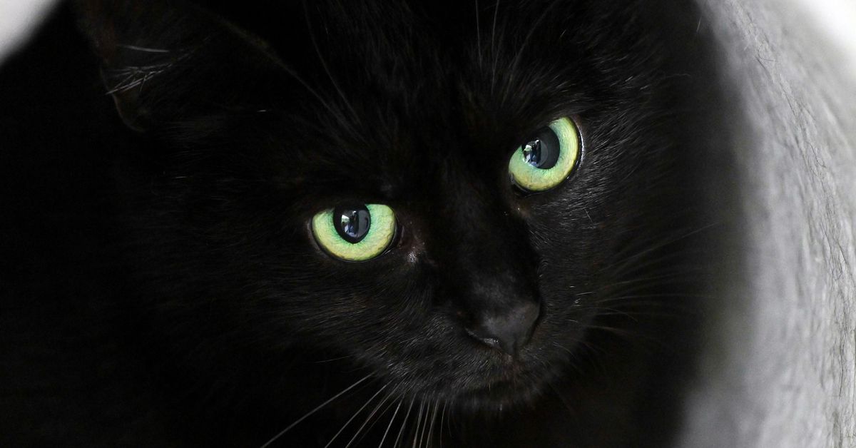 Outside The Confines: The best minor league promo ever