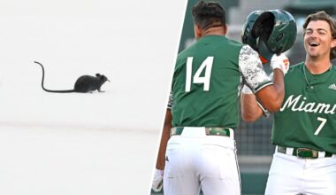 Panthers’ rat tradition, NCAA baseball regionals, the best of track and field meet in Jacksonville – NBC 6 South Florida