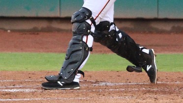 The Toronto Blue Jays release back up catcher