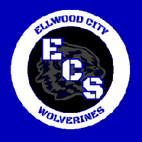 Ellwood City softball team's season ends with loss to Avonworth | Sports