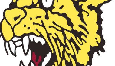 Diamond baseball squad sees season end at Pierce City | Local Sports