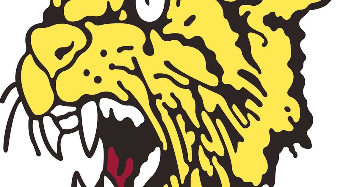 Diamond baseball squad sees season end at Pierce City | Local Sports