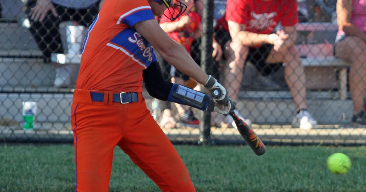 HIGH SCHOOL SOFTBALL: Dragons walk it off against Columbus North | Sports