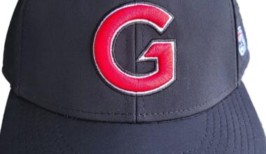 Gainesville baseball rallies past Patriot | Sports