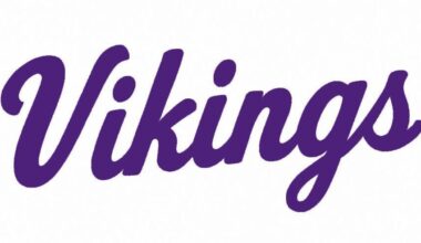 Stoughton baseball team sweeps Sauk Prairie, Hedstrom shines with 10 RBIs | Sports