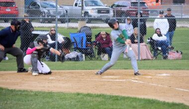 Hornets slug their way to victory over Rockets | Sports