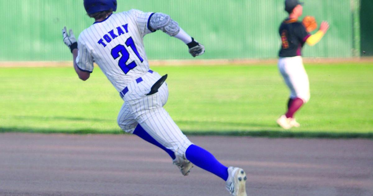 High school baseball: Tokay’s Brock Sell named SJAA MVP; teammates Buckley, Sanchez awarded | Sports