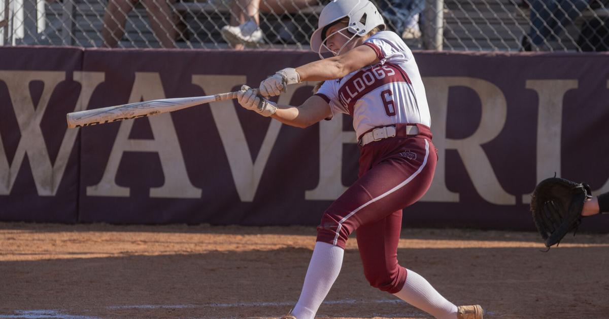 Lady Dogs represented in All-District awards in return to postseason | Sports