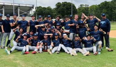 Wesley Chapel baseball does it again, advances to state with another thrilling series win | Sports