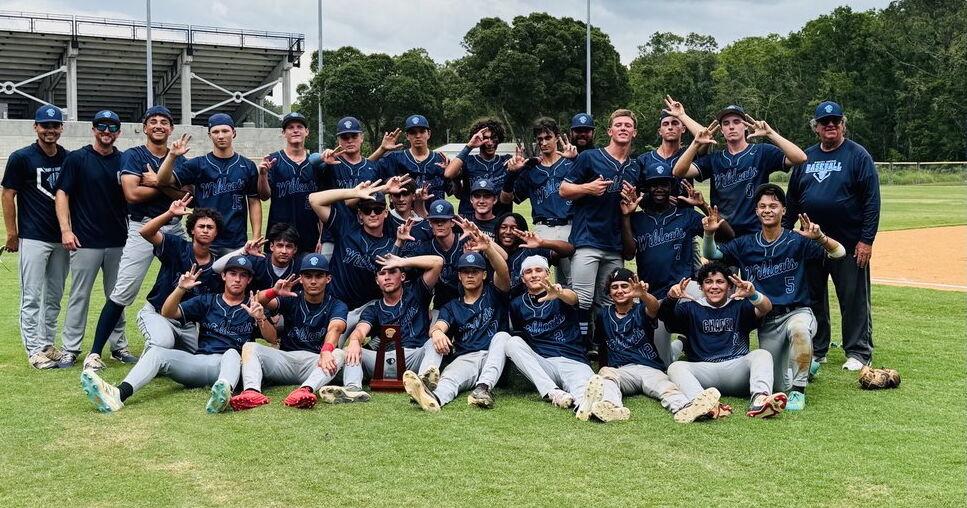 Wesley Chapel baseball does it again, advances to state with another thrilling series win | Sports