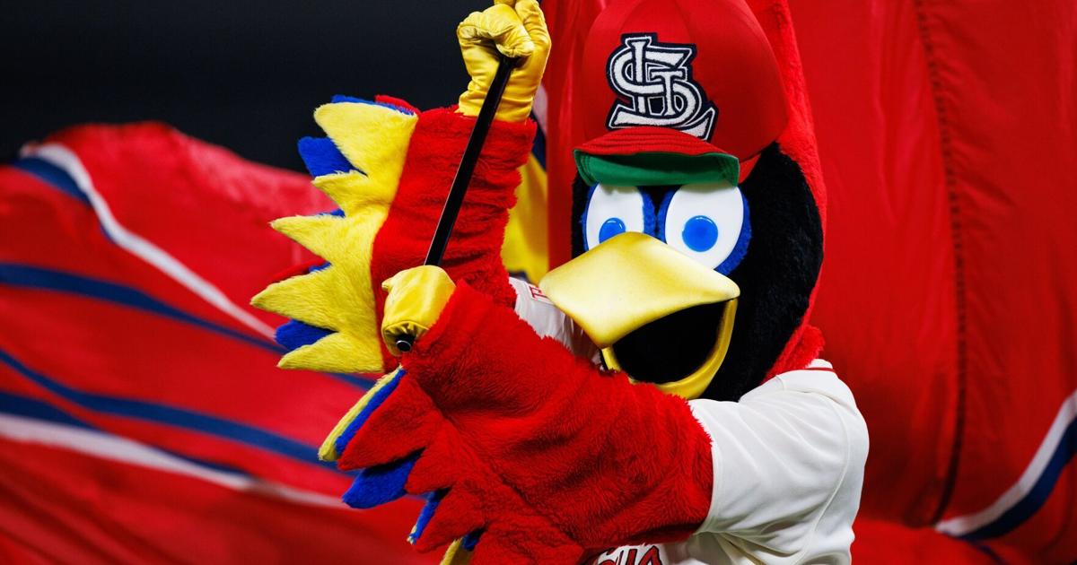 Cardinals mascot Fredbird up for Mascot Hall of Fame