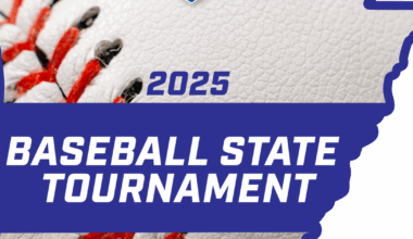 Lions edged 2-1 in huge duel against HG Cardinals at state | Sports