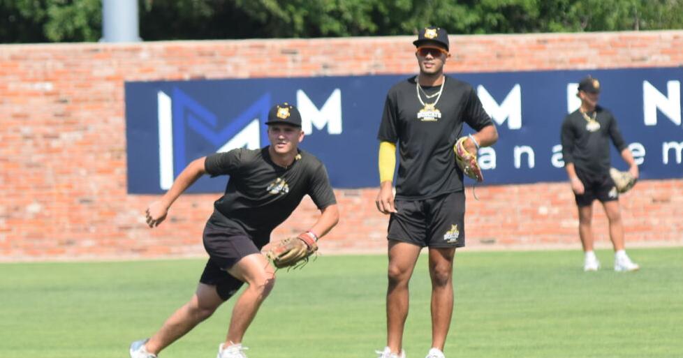 Top-seeded Bobcats on a hot streak heading into World Series | Sports