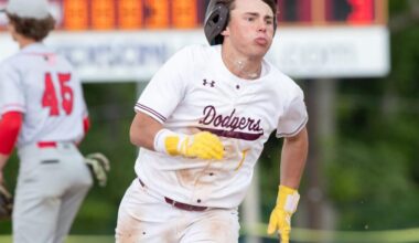 Madison baseball heads into Group 2, North Section 2 playoffs with Liberty Division crown in hand | Sports