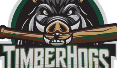 Shadowcats sweep TimberHogs in opening series | Sports