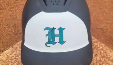 Horry Legion Baseball is born | Sports