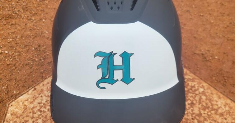 Horry Legion Baseball is born | Sports