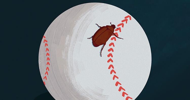 Musings: June bugs and baseball | Lifestyle