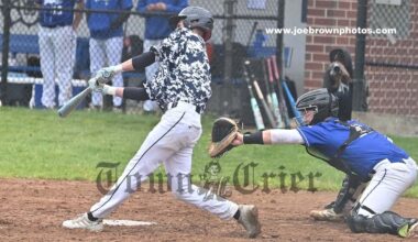 Wilmington baseball finishes on high note: Wildcats beat Mystic Valley for third win of the season | Sports