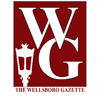 Lady Indians outlast Williamson in extras, 9-8 | The Wellsboro/Mansfield Gazette