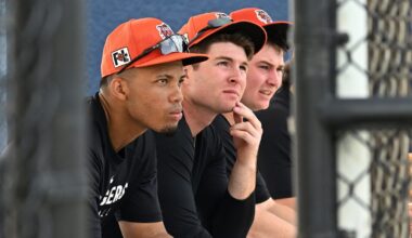 Detroit Tigers' Matt Vierling goes right back on IL, Wenceel Perez activated