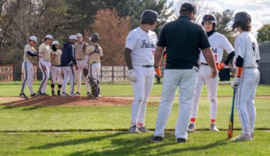 PIAA District Baseball Playoffs: Scores, recaps, previews
