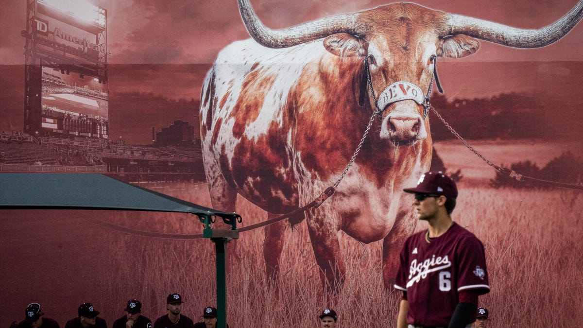 TV channel, time and schedule